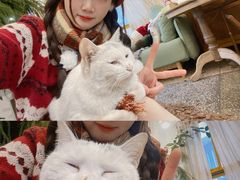 -知物癖(牛王庙店)