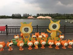 -上海长兴岛郊野公园