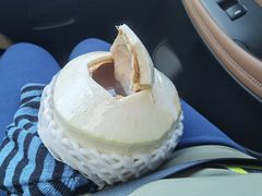 -百果园PAGODA(西四地铁站店)