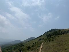 -大姆山草场