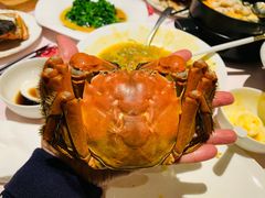 -蟹榭·莳鲜(虹桥高岛屋店)