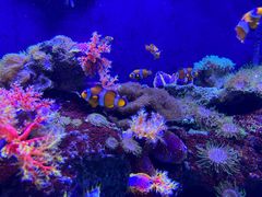 -成都浩海立方海洋公园