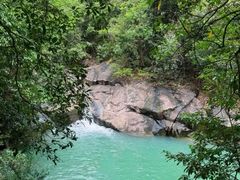 -广州白江湖森林公园