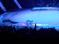 -珠海横琴长隆《卡卡虎奇遇记》