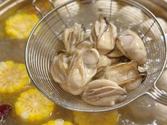 海陵岛生蚝-小煵记·打边炉(西丽文光店)