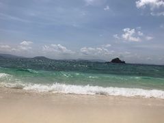 -珊瑚岛