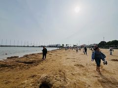 -碧海金沙