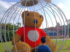 -三亚亚龙湾天域度假酒店