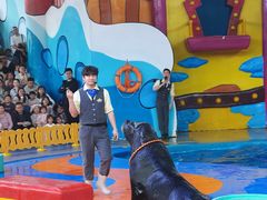 -海合安武汉极地海洋公园
