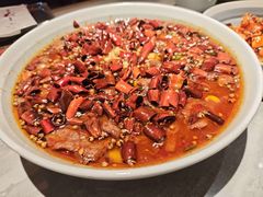 -龙人居·水煮鱼(五道口店)