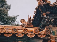 -故宫博物院(故宫)