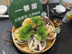 -一善菌·云南菌汤·云南菜(银泰城店)