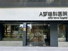 -御宝贝·A梦猫科宠物医院(国际猫友好医院)