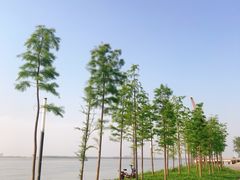 -游心咖啡(青山滨江店)