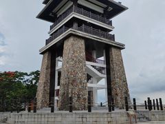 -大湾区中央湿地公园
