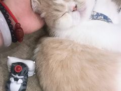 -霸王茶姬(金贸中路店)