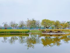 -广州国际生物岛