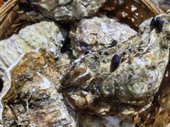 -蚝堡海鲜·威海菜·海肠捞饭·烧烤·亚洲吃蚝公司(幸福门店)