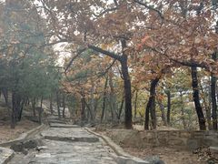 -北京鹫峰国家森林公园