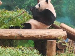 -杭州动物园