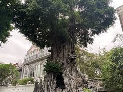 -荔湾湖公园
