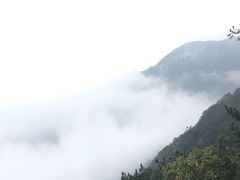 -庐山风景区花径公园