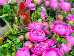 -循礼门鲜花花市(武汉循礼门店)