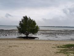 -霞山观海长廊