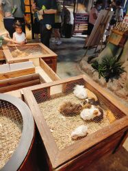 -酷嗒动物文化乐园(cutezoo西溪乐天城店)