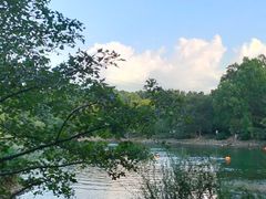 -紫霞湖公园