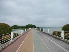 -贡湖湾湿地公园