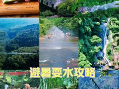 -川西竹海景区