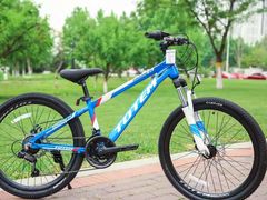 -道路口单车爱瓦士dahon大行