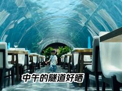-海棠湾洲际-涛·海底餐厅·美人鱼·自助餐·海底隧道