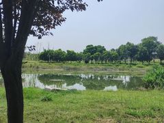 -两河城市森林公园