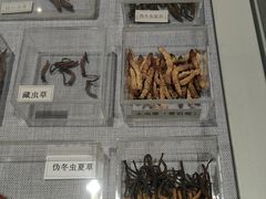 -北京中医药大学-中医药博物馆
