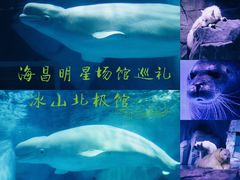 -上海海昌海洋公园-冰山北极馆