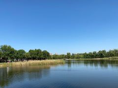 -永定河休闲森林公园