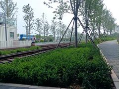 -南门小馆·清真(国贸商城店)