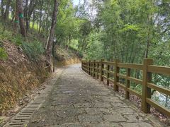 -广州市流溪河国家森林公园