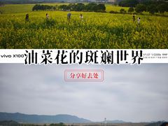 -光明小镇欢乐田园
