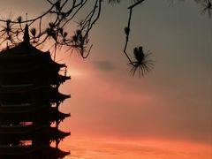 -缙云山景区