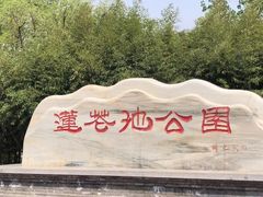 -莲花池公园