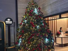 -新加坡乌节希尔顿酒店 (SG Clean)