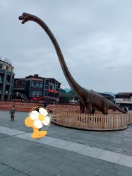 -恐龙探索乐园(磁器口店)