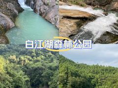 -广州白江湖森林公园