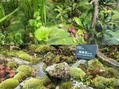 -国家植物园南园