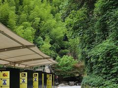 -将军关探险漂流