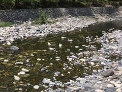 景点-黑河国家森林公园