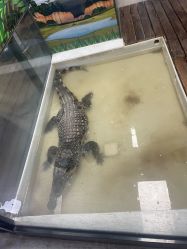 -未来动物城动物主题公园(大悦城店)